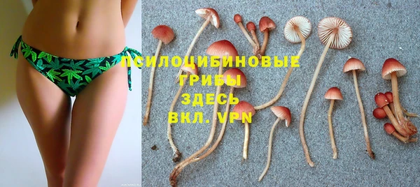 дмт Балабаново
