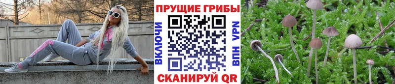 маркетплейс какой сайт  kraken ТОР  Янаул  Псилоцибиновые грибы прущие грибы 